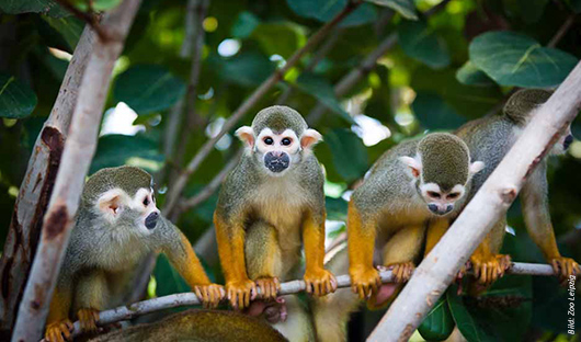 Zoo Hotel Leipzig